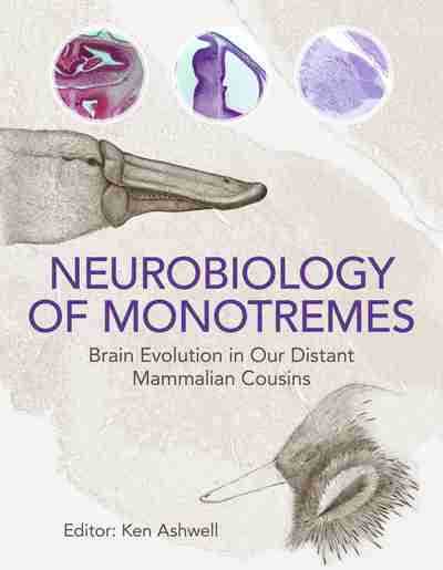 Neurobiology Of Monotremes Newsouth Books