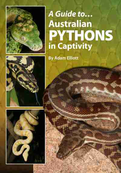 Amphibians And Reptiles In Minnesota Newsouth Books