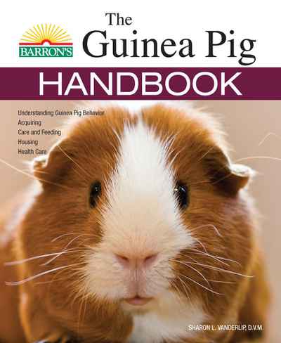 Where to buy guinea pigs image