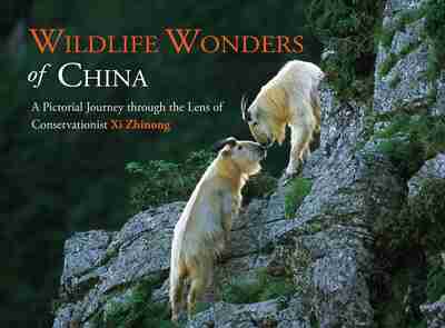 Wildlife Wonders Of China Newsouth Books