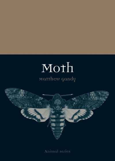 me moth book