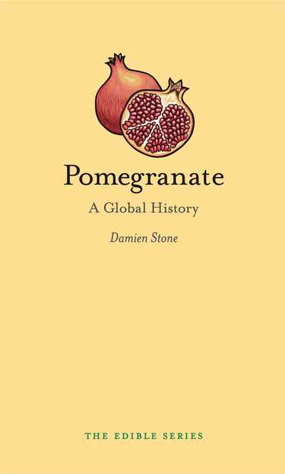 promises and pomegranates book buy