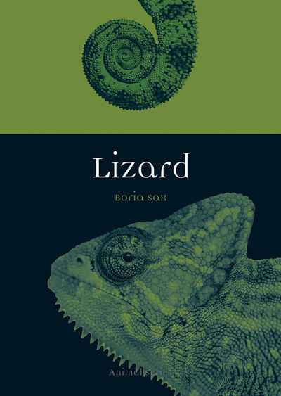 Lizard | NewSouth Books