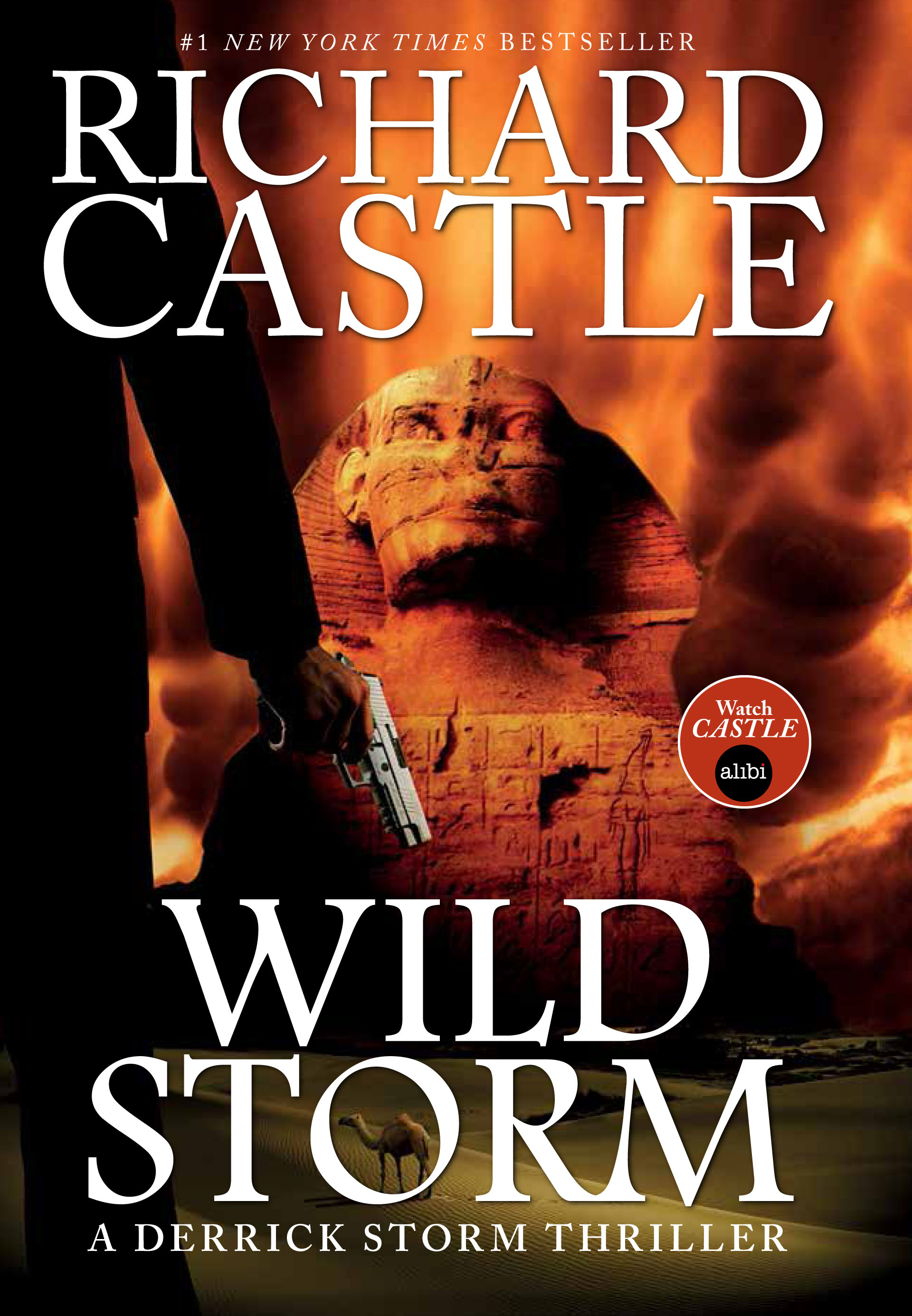 Wild Storm A Derrick Storm Thriller Newsouth Books