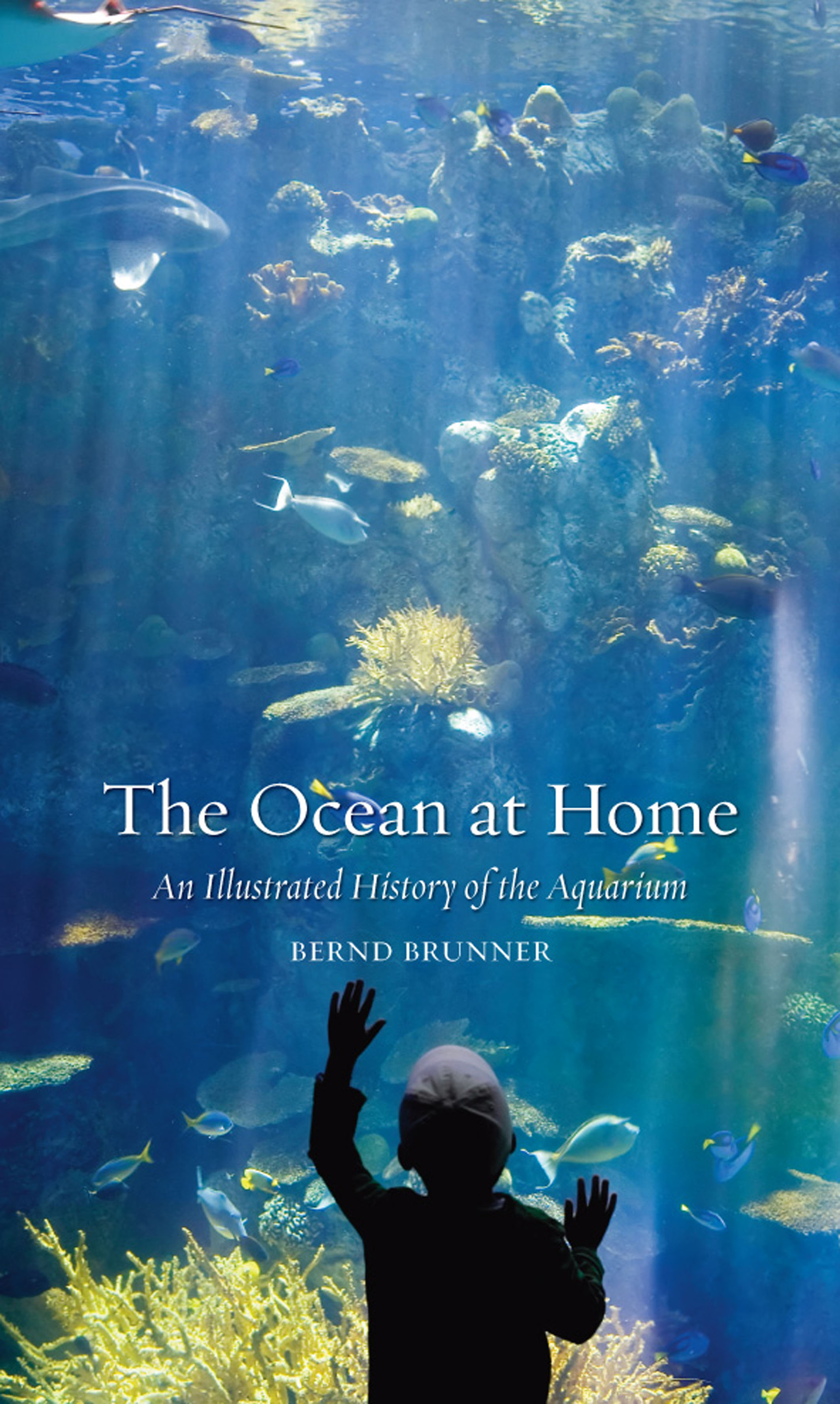 The Ocean At Home Newsouth Books