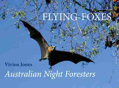Flying Foxes Newsouth Books