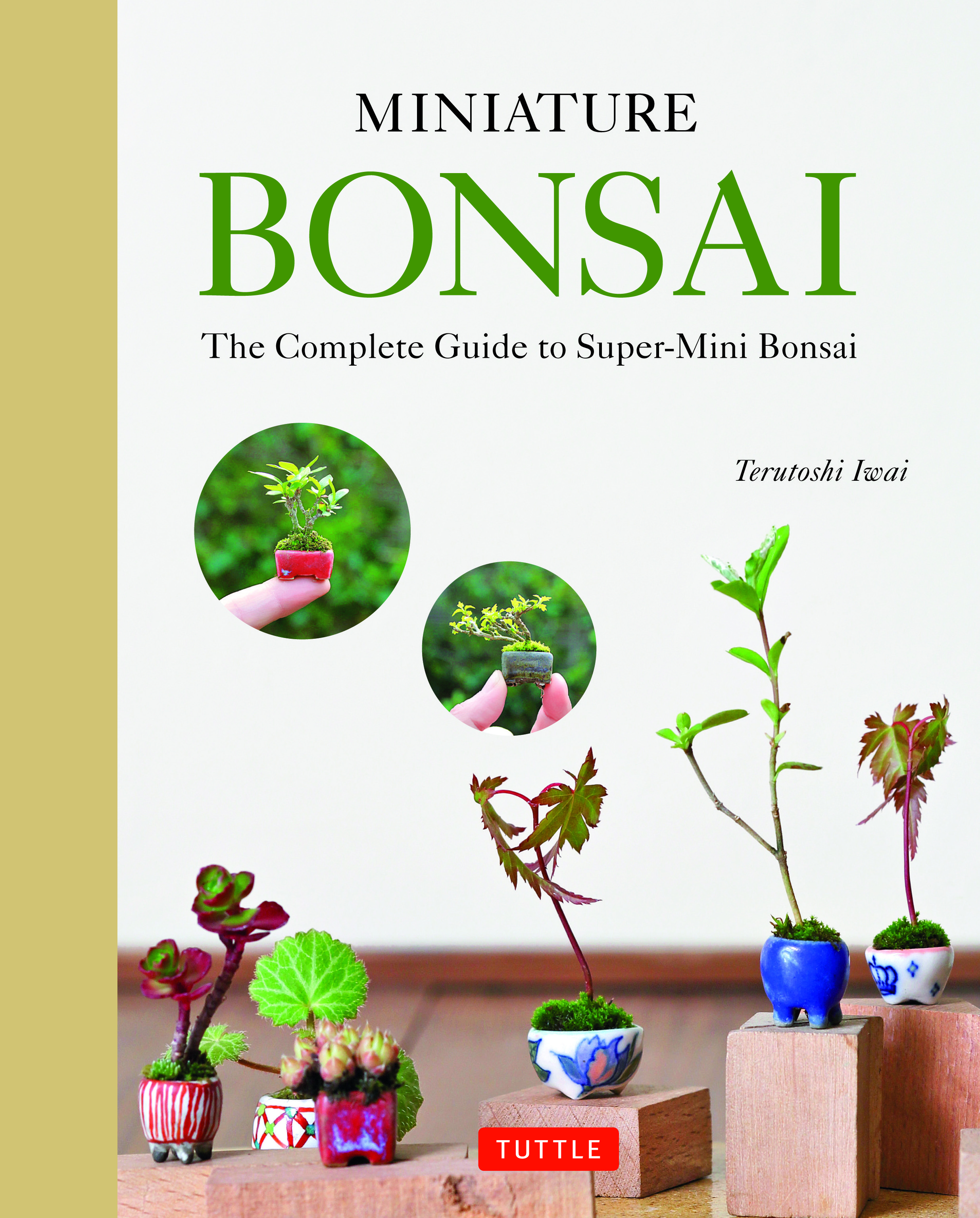 Miniature Bonsai Newsouth Books